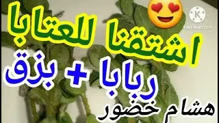 اشتقنا للعتابا +ربابة+ بزق نارر😍 هشام خضور