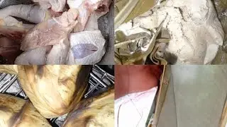 VLOG ELUBU : LIBOKE YA SOSO NA MBIKA BOLANDA MALAMU