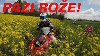 ⭐Honda v cvetlicah (MadStane 6)