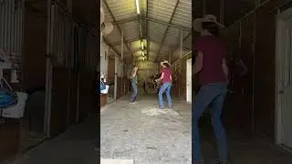 Happy Monday, let&rsquo;s kick it off right 🕺🏼 #coltstarting #horsetrainer #monday