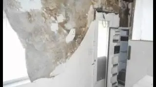 Water Removal West Palm Beach, Mold Remediation Delray Beach & Boca Raton Florida