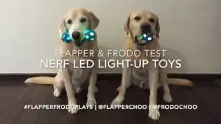 LAB-Test: NERF 'Illumina' Action Bash Toys