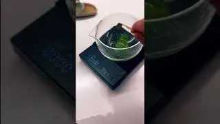 how much is 1 small scoop of matcha?  #coffee #matcha #tea #matchapowder #japanesefood