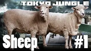 Tokyo Jungle: Sheep Survive over 100 years Part 1 of 4