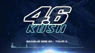 4.6KUSH - TOUR X