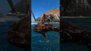 World Famous Island Rock Cabezon! ❤️ #fishtough #fishing #wildcatch #saltwaterfishing