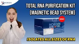 Automated RNA Extraction in 15 Minutes? Meet Norgen&rsquo;s New Kit! 🔥