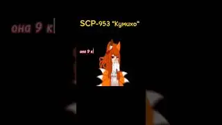 SCP-953)