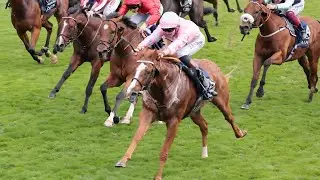 'I just can't believe it!' - Live In The Dream stars in Nunthorpe Stakes thriller