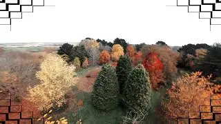 DJI Autumn Vibes 