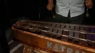 La Avispa   Conjunto Katracho