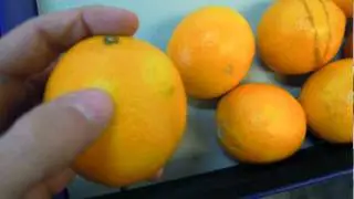 ELISAM - External Quality - Citrus.mpeg