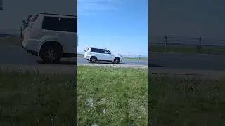 3 августа 2024 г.