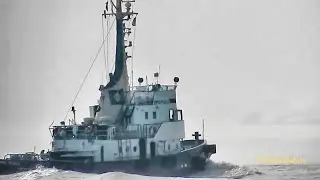 Schlepper EMS PULL CQJD IMO 7017909 BJ 1970 outbound Emden tugboat