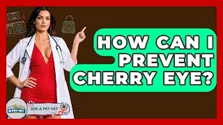 How Can I Prevent Cherry Eye? - Ask A Pet Vet