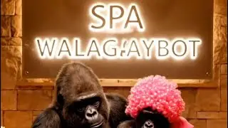 PANAS BERAPI! GAYMO BINI RAMLAH KOYAK BILA KENA TUTUH MACAM ANJING DENGAN DATO SERI SALIM!