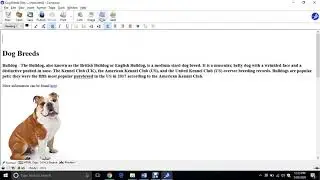 Topic 6 - Adding a Menu - Part 1