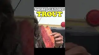 Smoked Candied Trout Jerky Part 1
