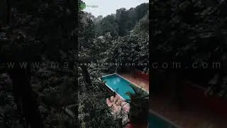 Spice Jungle Resort Munnar Best Budget Friendly Resort with Pool in the Heart of Lush Green Forests