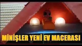 Minişler yeni eve taşınıyorlar.babamın yaptığı karton miniş evi mükemmel