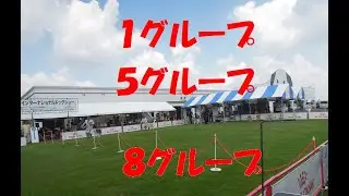 １グループ。５グループ。８グループ。＃千葉インターナショナルドッグショー。
