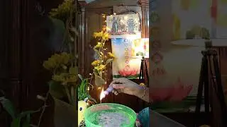 নির্মম দুর্দশা শত্রু মহিলা/ব্যাক্তির দৈব প্রলয়🧿🛡🙏@MUHURTERDAKEAMISANGITA789 #divine 💕🛡🧿#tarot 🥰⭐✨