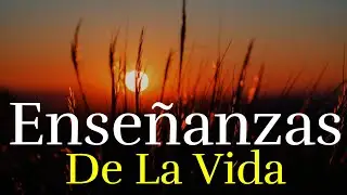 LA VIDA Te Enseña ¦ Reflexiones de la Vida