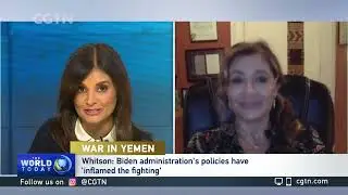 Sarah Leah Whitson on Yemen conflict