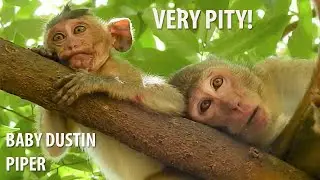 Poor Baby Dustin Has No Mother|Piper Give Him Warm  Pity Poor Baby Dustin Cared By Piper On Tree