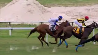 12/6/2025 &ndash; Hipodromo Maro&ntilde;as &ndash; Carr 4 &ndash; LA MANSA NISTEL (2018)