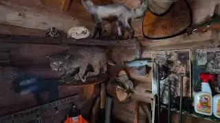 Walk Though Of The Coolest Deer Camp In Michigan UP