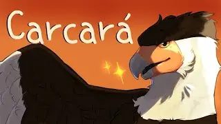 Carcar&aacute; - Anima&ccedil;&atilde;o ( Rascunho )