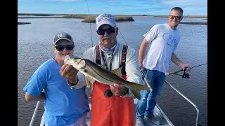 Snook's northward migration