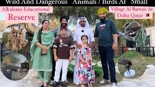 Wild And Dangerous Animals And Birds At Small Village Al Ruwais At Doha Qatar 🇶🇦