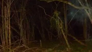 Ashley Chase  My first ghost hunt