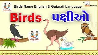 પક્ષીઓના નામ ભાગ ૧ | Birds Name Part 1 | Gujarati Bhantar | Toddler Learning | Bhar Vinanu Bhantar