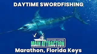 North Atlantic Swordfish Highlights - Marathon, Florida Keys