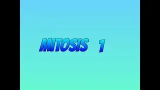 Mitos.is first video