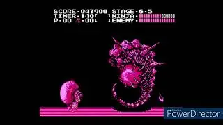 Ninja Gaiden Finale (reupload)