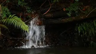 Exploring the beautiful Northern Rivers / Kayak fishing.