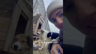 Обещанный влог с Дружком