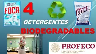 Los 4 mejores detergentes BIODEGRADABLES