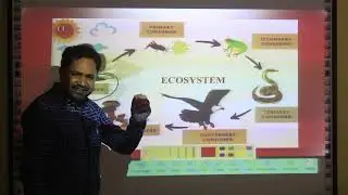 Concept of Ecosystem | VAC-1: Environmental Studies | CC-13: Bio-Geography | NEP FYUGP
