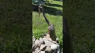 Metal bird Sculpture 🦩