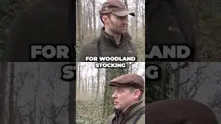 Выстрел в шею и правда о древней шведской винтовке раскрыта