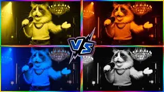 Funny Cat's. Coffin Dance. EXE 4 COLORS 4 MUSIC