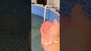 🐉 Moray Eeels love to hide in the filter pipe😂 This is the only way to get them out🎢
