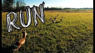 SJ DRONE - RUN