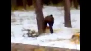 хускварна 365