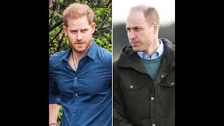 Prince Harry and Prince William Still Feel &lsquo;Resentment&rsquo; After Family Drama
